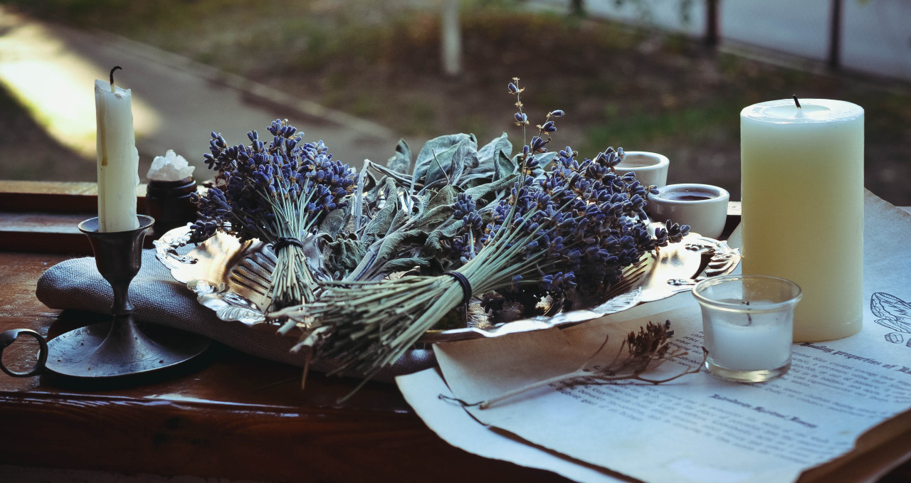 beautycreek:  Spent the whole day harvesting lavender 🌿✨ 