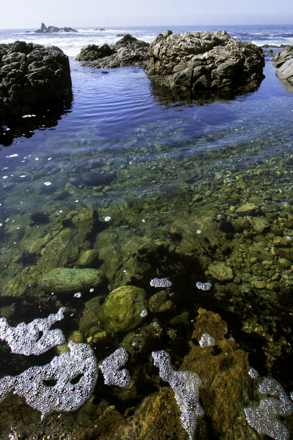 Big sur! photos by me :)