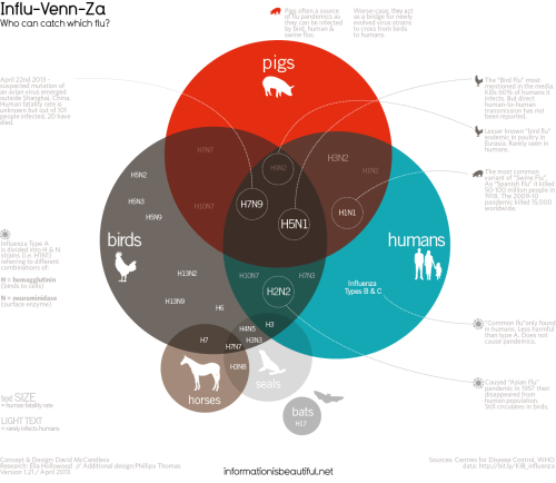 Quale Influenza Tra Le Tante ? [Infografica]