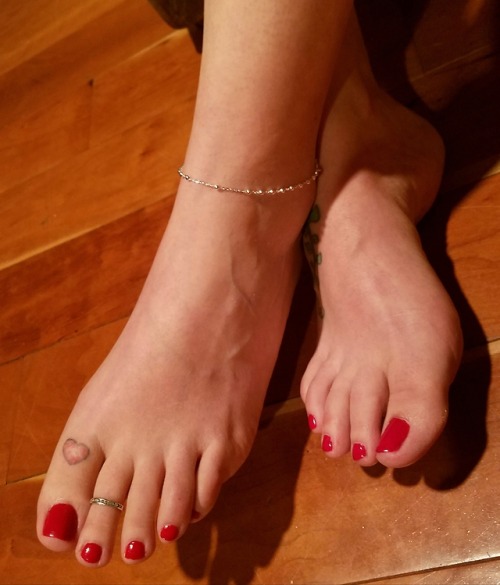 sexxximilf68: Enjoy my pets, Gaze upon Heavenly Perfection #prettyfeet #longtoes #humilation #moneys