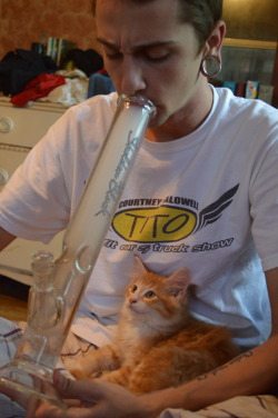 smokepotwithme:  i took this photo! that my kitten and my bong, haah but not my source 