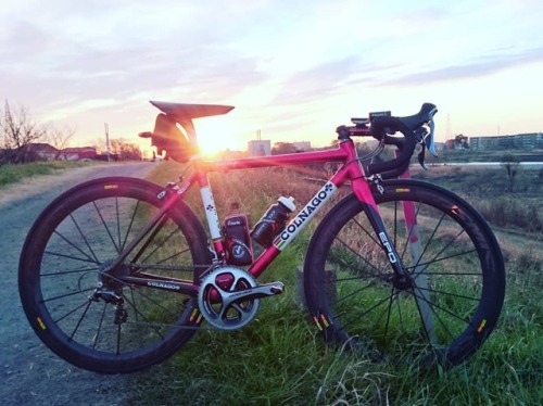 A HAPPY NEW YEAR 小学館自転車部部長ON寺です！ 新年明けましておめでとうございます。 大晦日は紅白を最初から最後まで見てました。 NHKはやはりすごいですね。。。 皆様の健康とご多幸