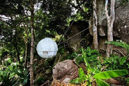 culturenlifestyle:  The Cocoon Tree The Cocoon Tree is a small circular tent, which is suspended on trees, according to one’s desire or needs. Available in 12 different colors, ranging from purple to green, the circular shape is a conscious design