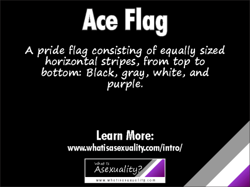 Ace FlagA pride flag consisting of equally sized horizontal stripes, from top to bottom: Black, gray