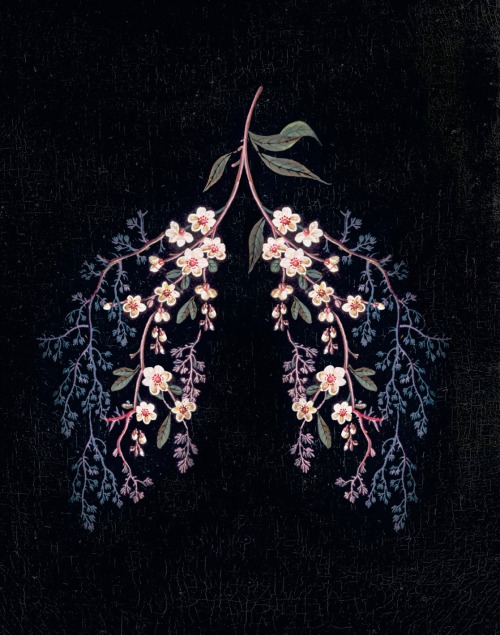 somevelvetevenings: ‘Useless Magic’ by Florence Welch