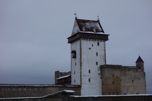 bolarti:Narva Hermanni linnusNarva Castle