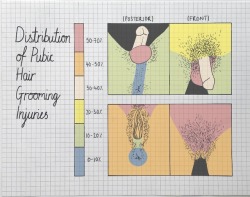 pinkpdx:  This has to be the infographic