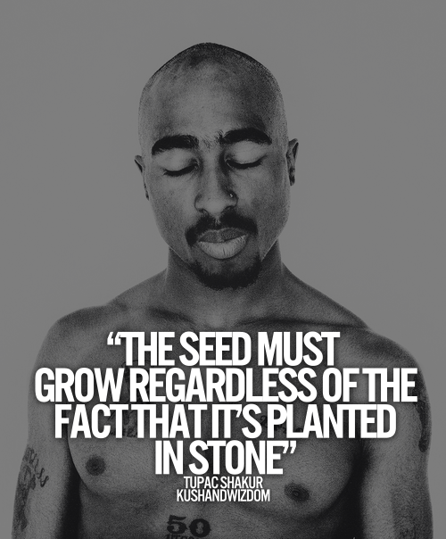 KUSHANDWIZDOM