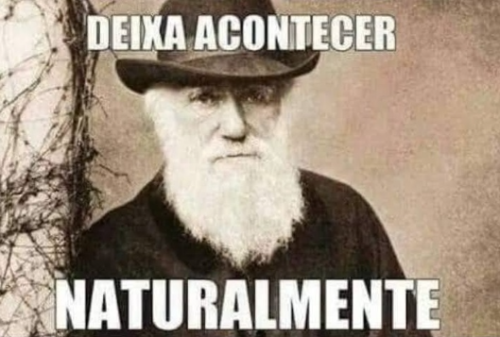 "Deixa Acontecer