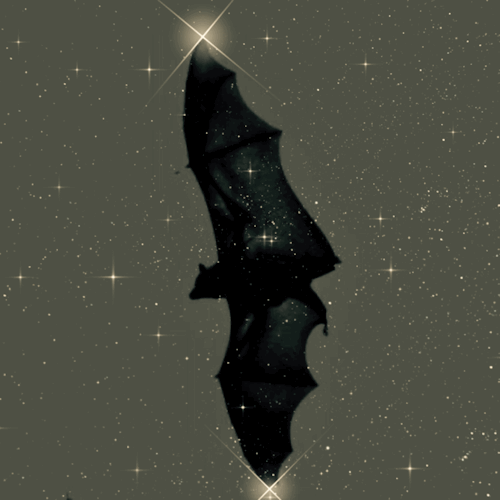 Spooky Darkness