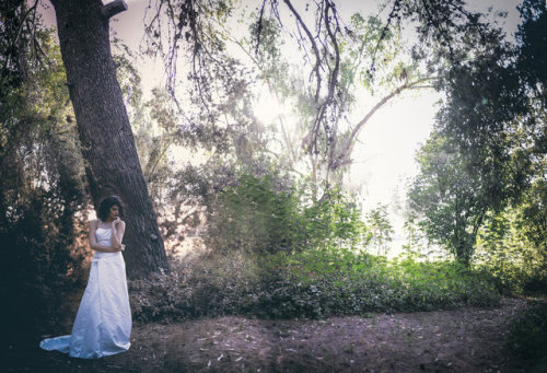 http://www.westeal-photography.com/weddings-and-quinceanera/ photography from West Eal a year long w