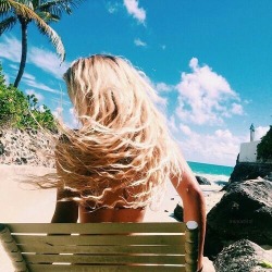 kiosque-da-ilha:  🐚🐚🐚