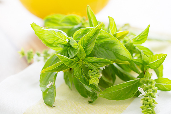 christellar:   Recipe | Basil White Bean Dip + Sandwich Spread    