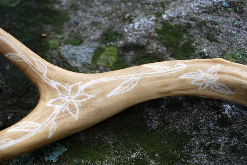 sjcart:  Natural shed stained with black tea and hand-carved. For sale on etsy! 