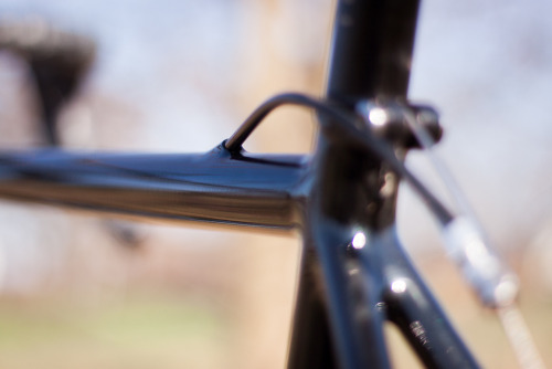 titsandtires:  Orlowski SSCX (by photoFH)