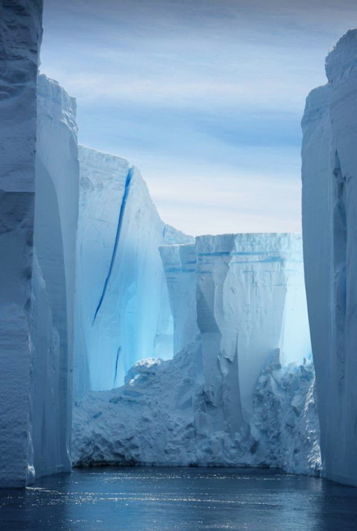 visitheworld:Icy towers, Weddell Sea / Antarctica (by Scott Ableman).