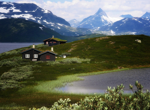 photosofnorwaycom:  Norway - landscapes: Along lake Tyin in Jotunheimen by JRJ. We are biking along 