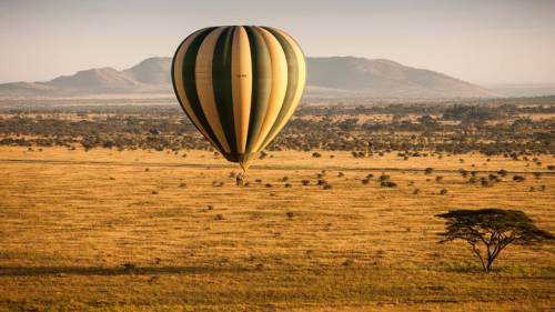 Serengeti - Tanzania 