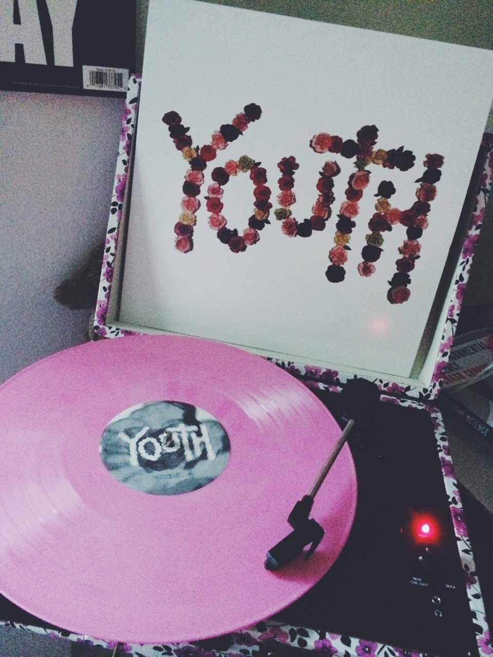 cxnstant-headache:  the prettiest record i own (◡‿◡✿) 