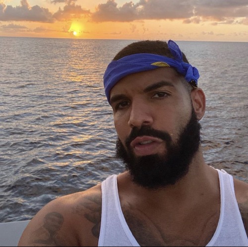 Drizzy Lookin Like A Snack