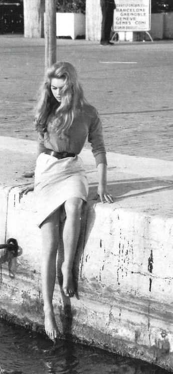 Porn photo ladycollector:  Brigitte Bardot