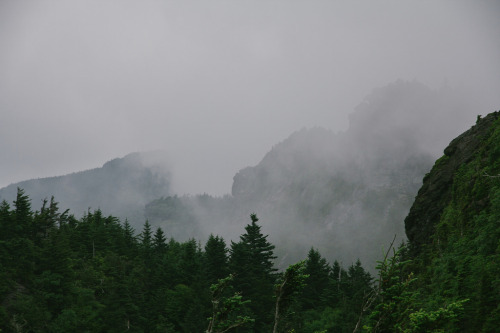 whenitallturnstodust: Over the Misty Mountains (by farbernathan)