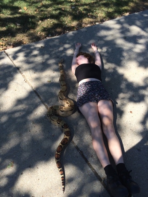 xenondifluoridecb:vampireapologist:the-confused-indian:vampireapologist:Here are some snakes I’ve me