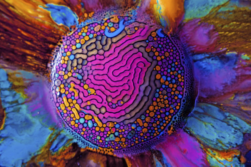 These mesmerizing images by Fabien Oefner represent what can happen when science and art join forces