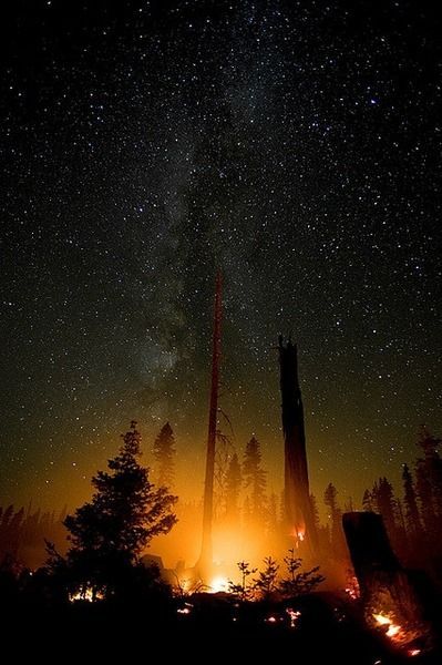 letsgoforahike:  Let’s Go For A Hike 