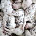 worldssmallesttrampoline:🐶 Piles of Dalmation puppies. 
