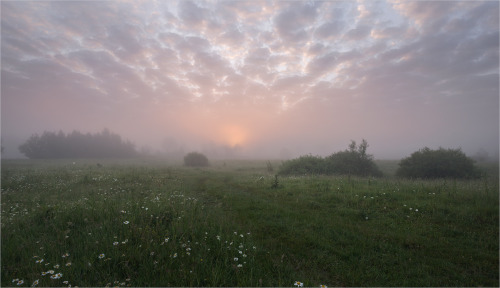 Porn photo expressions-of-nature: by Nikolai Shahmantsir