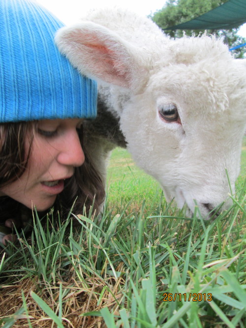 miss these little dudes &lt;3 om nom nom, we love grass so much &lt;3 