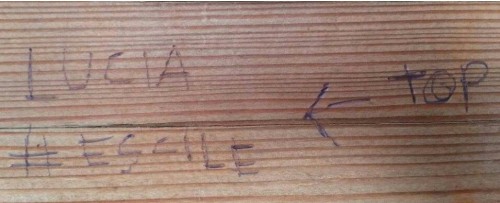scarligamerluss:    Frasi scritte sul legno dalla gente in coda in attesa di entrare nel padiglione del Giappone   via   Roberta Arco     ahahahahahahah ….divagazioni sul Paese del Sol Levante  !!!
