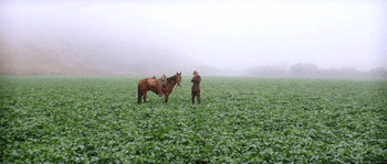 paulthomasfanderson:  There Will Be Blood (2007) directed by Paul Thomas Anderson cinematography by Robert Elswit 