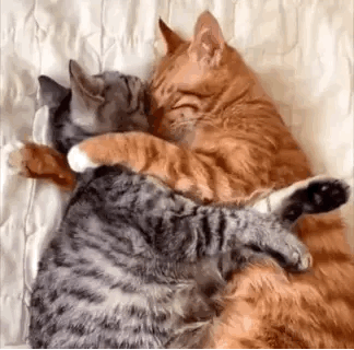 Hugzzzzz(*)