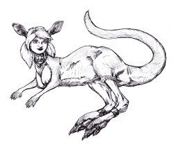 Bouncy - by DMA A… kangaroo. sphinx.