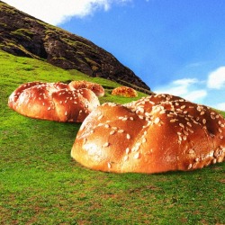 minesottafatspoollegend: dennys: Many believe that the giant buns of Yeaster Island were baked by natives to appease the alien burger overlords. 