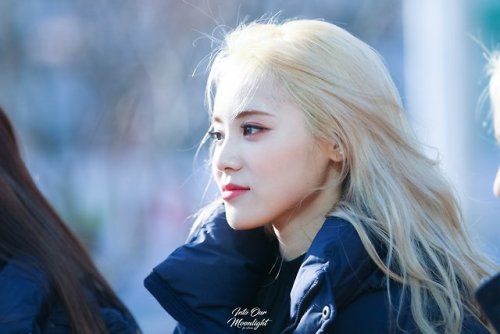 171126 Inkigayo Mini-Fanmeeting© Into our Moonlight ♡ do not edit.