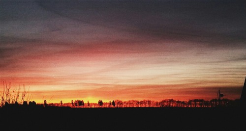 saeureregen:  The sky is burning 🌅 
