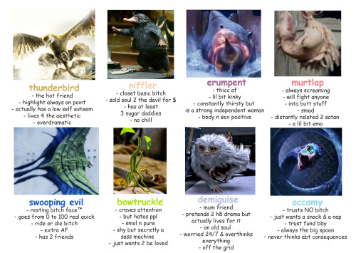 hpmemes:tag yourself i’m swooping evil 