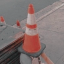 roadkillbuffet