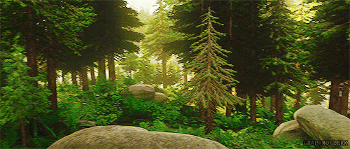 graphrofberk:How to train your dragon | Forest