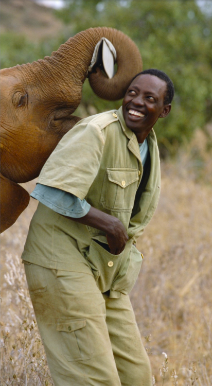 nubbsgalore:photos by gerry ellis from the david sheldrick wildlife trust, a nursery and orphanage f