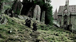 nxpotter: get to know me meme: [1/10] movies  “I solemnly swear that I am up to