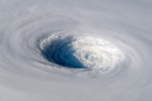 nevver:Super Typhoon