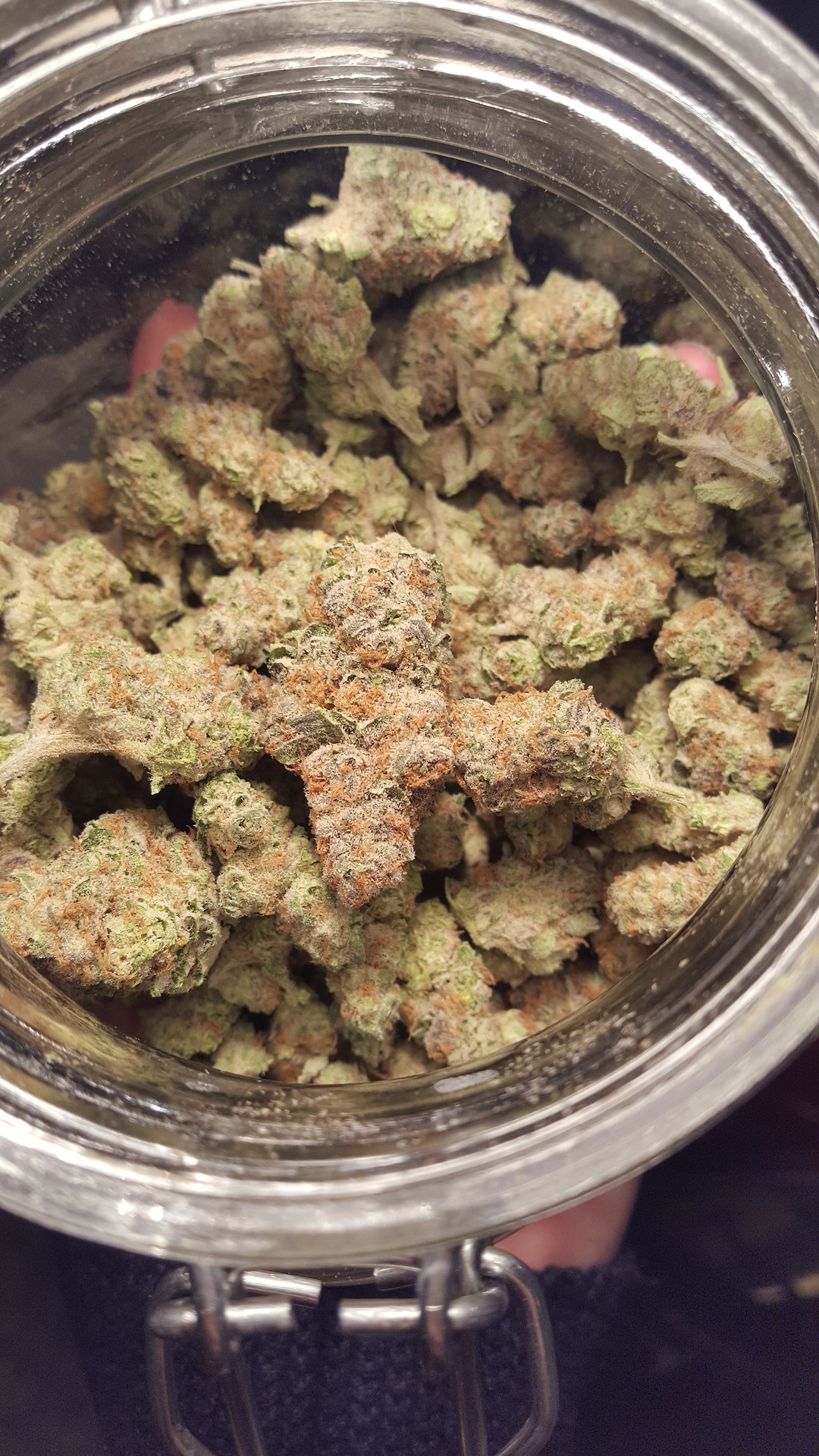 unfathomableideas: This Blue Widow can poison my bloodstream anyday