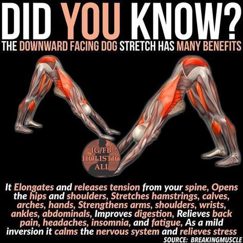 kungfu-online-center:  Did you know?