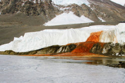 snail-bby:  blood falls, located on the taylor glacier in antarctica, gets its red color from the iron-laden water that turns to rust when it comes into contact with the air. source 