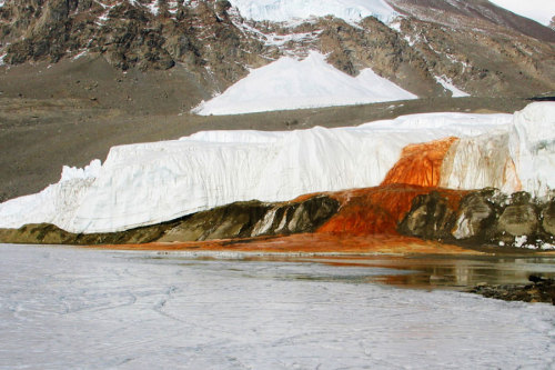 snail-bby:blood falls, located on the taylor glacier in antarctica, gets its red color from the iron