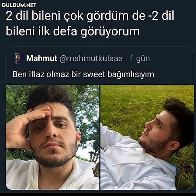 Lavuk hem türkçeyi hem...